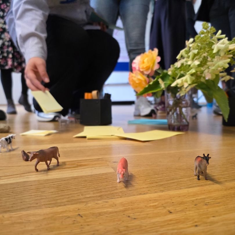 Fortbildung Vernetzung / Franziska Schönfeld/ HoR Vernetzungstreffen Magdeburg18.-19.September 2025 | Foto: HoR MD